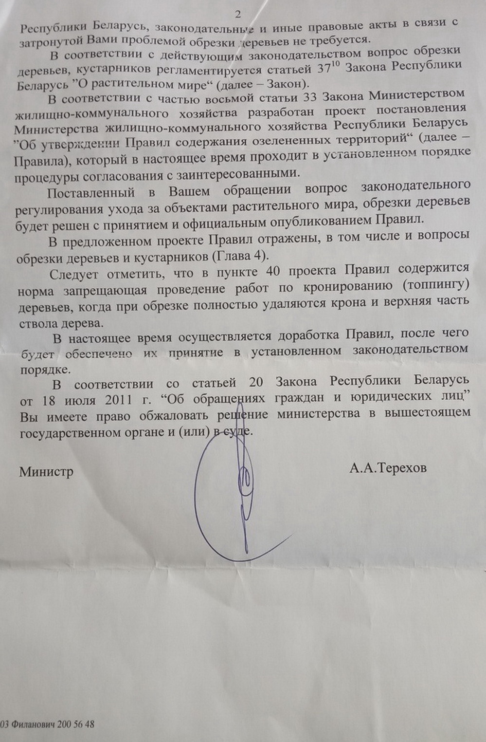 Дрэвы зноў абразаюць пад нуль. Што кажуць батанікі і ЖКГ? Дрэвы зноў абразаюць пад нуль. Што кажуць батанікі і ЖКГ?