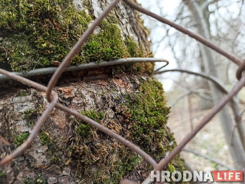 зварот у 115.бел обращение в 115