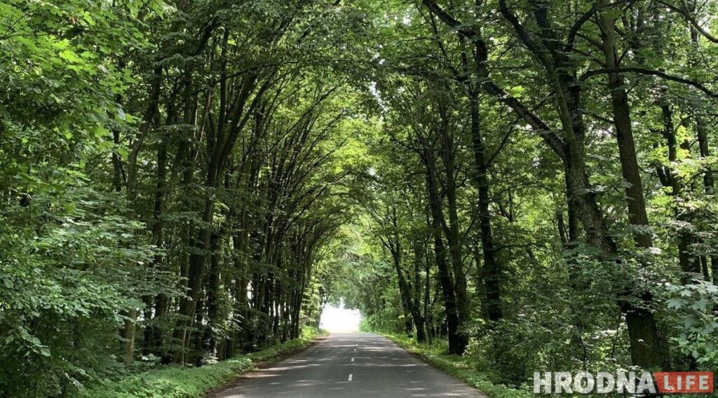 Берестовица - почти Краков, а Репля - красивее Москвы. Что посмотреть за день в окрестностях Гродно