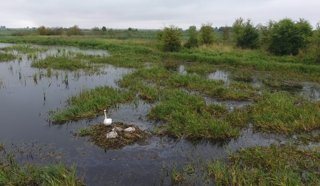 Бераставіца – амаль Кракаў, а Рэпля прыгажэй за Маскву. Што пабачыць за дзень у ваколіцах Гродна