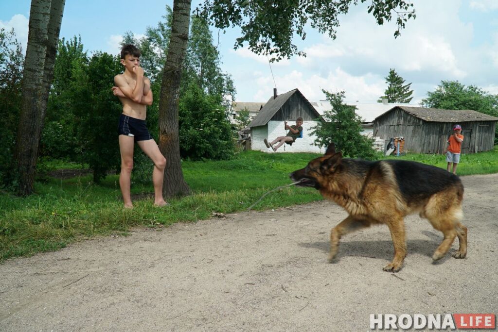 Берестовица - почти Краков, а Репля - красивее Москвы. Что посмотреть за день в окрестностях Гродно