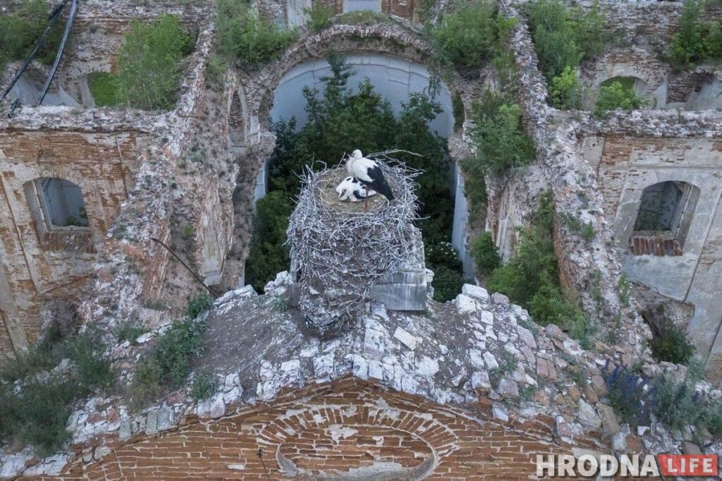 Бераставіца – амаль Кракаў, а Рэпля прыгажэй за Маскву. Што пабачыць за дзень у ваколіцах Гродна