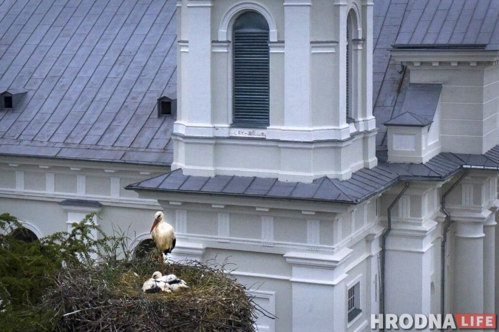 Бераставіца – амаль Кракаў, а Рэпля прыгажэй за Маскву. Што пабачыць за дзень у ваколіцах Гродна