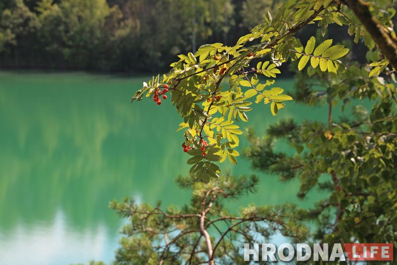 Рэдактарка Hrodna.life: Мінус 4 за тыдзень ці з чаго пачынаецца пахуданне