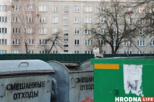 Бяздомны кот у Гродне. Фота: Hrodna.life