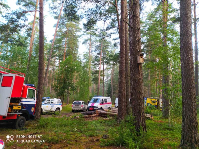У Белавежскай пушчы зноў шукалі зніклых падлеткаў - там, дзе прапаў Максім Мархалюк