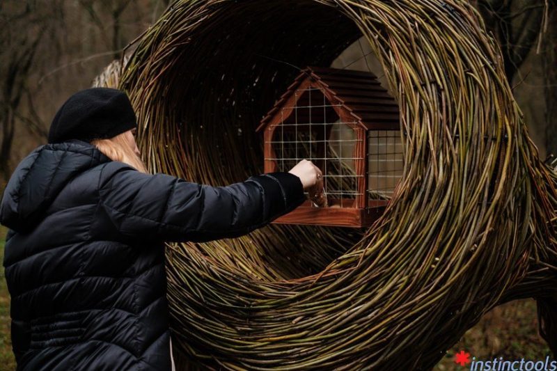 Реальная помощь, самообман или просто украшение? В лесопарке Пышки открыл “кафе” для птиц