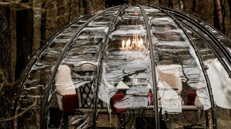 В “Кронон Парк Отеле” открыли прозрачный купол-иглу для отдыха. Сколько стоит аренда и есть ли свободные места