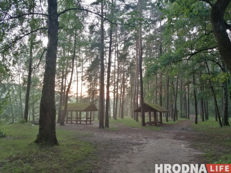 Не хватает районных скверов. Для Гродно готовят схему зеленых зон, которые будут охранять Не хватает районных скверов. Для Гродно готовят схему зеленых зон, которые будут охранять