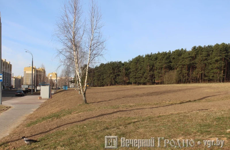 На Кабяка хотят построить еще один торговый центр. В каком месте и что в нем будет?