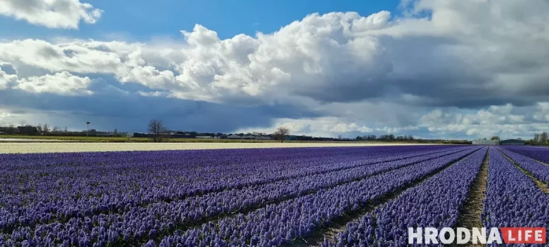 Путешествия на весну: 5 мест, которые стоит посетить прямо сейчас - с визой или без