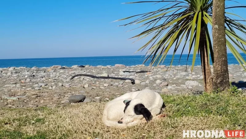 Путешествия на весну: 5 мест, которые стоит посетить прямо сейчас - с визой или без