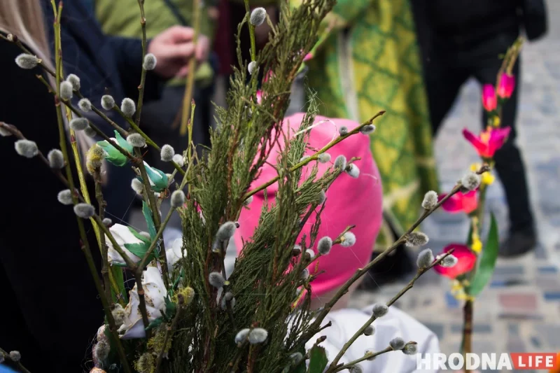 З беларускімі "коцікамі" замест пальмавых галінак. Праваслаўныя ў Гродне адзначылі Вербную нядзелю З беларускімі "коцікамі" замест пальмавых галінак. Праваслаўныя ў Гродне адзначылі Вербную нядзелю