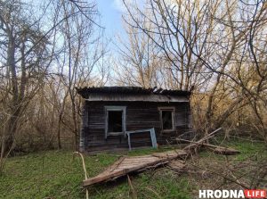 Топ-менеджару цэментнага завода далі 3 гады. Ён запэўнівае, што дзейнічаў у інтарэсах дзяржкампаніі Вёска