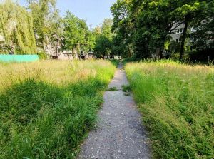 Дарогі без рамонту, агрэсіўныя птушкі і кветкі, якія загароджваюць агляд: чым незадаволеныя жыхары Гродна