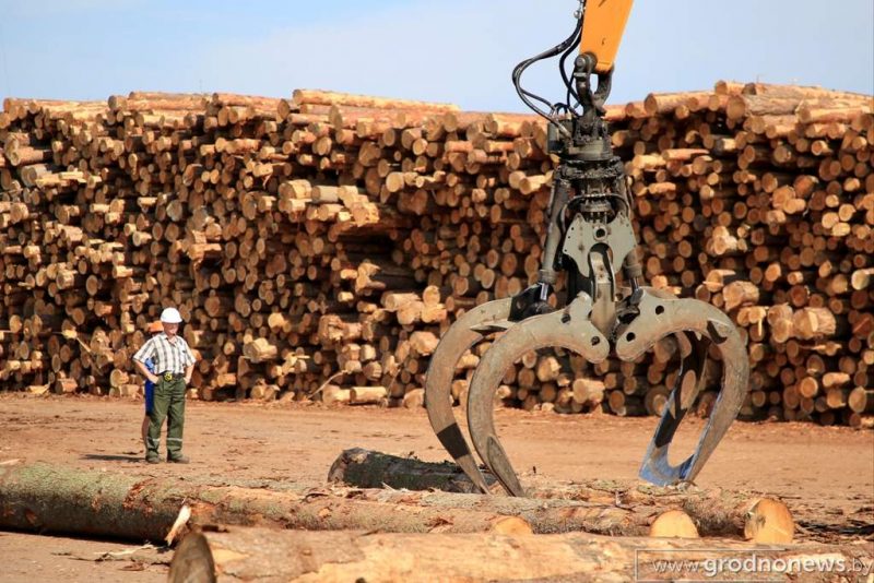 "Гэта няпроста". Як "Мастоўдрэў" працуе пад санкцыямі Рабочий процесс на "Мостовдрев". Фото: "Гродненская правда"