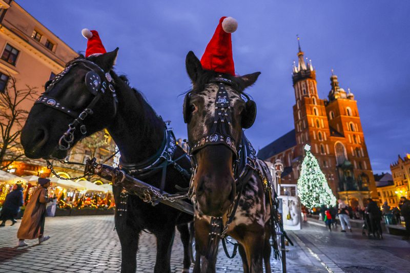 "Зімовы фэст” открыли в Гродно. Hrodna.life посмотрел, как выглядят предпраздничные ярмарки в других европейских городах