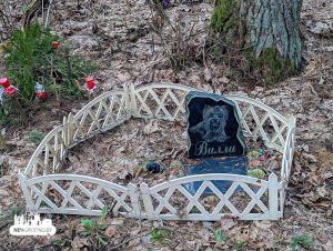 За пахаванне хатняй жывёлы ў зямлю можна атрымаць штраф. Што рабіць, калі памёр гадаванец? Могілкі хатніх жывёлаў