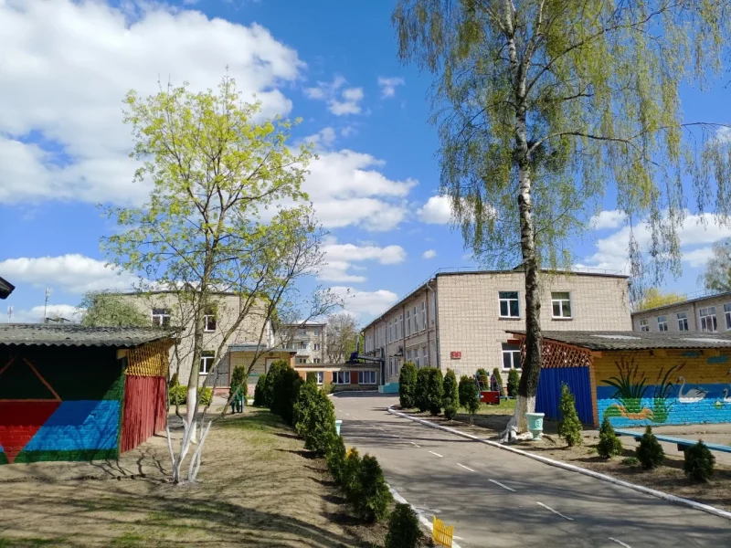 Тэрыторыя дзіцячага садка №40 у Гродне, дзе спіляць дрэвы