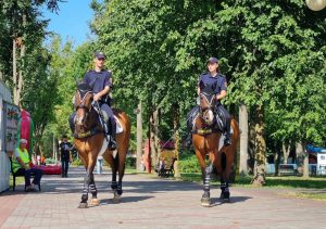 У Гродзенскую вобласць вернецца конная міліцыя. Але не ў Гродна Конная міліцыя