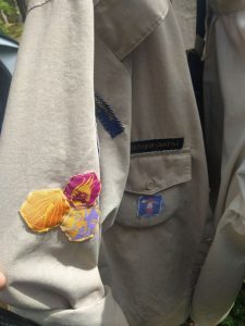 Беларуса аштрафавалі за абразу сілавікоў — тыя адсправаздачыліся аб дабрачыннасці шэўроны скаўтаў