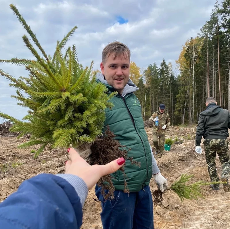 Гродзенскі лясгас прапануе садзіць дрэвы за грошы. Колькі можна зарабіць? Как заработать на посадке леса