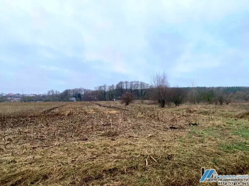 В Зарице хотят построить новый квартал таунхаусов