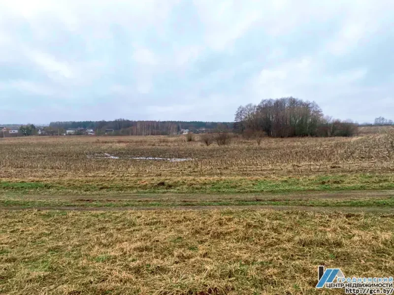 В Зарице хотят построить новый квартал таунхаусов