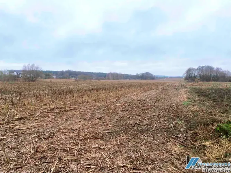 В Зарице хотят построить новый квартал таунхаусов
