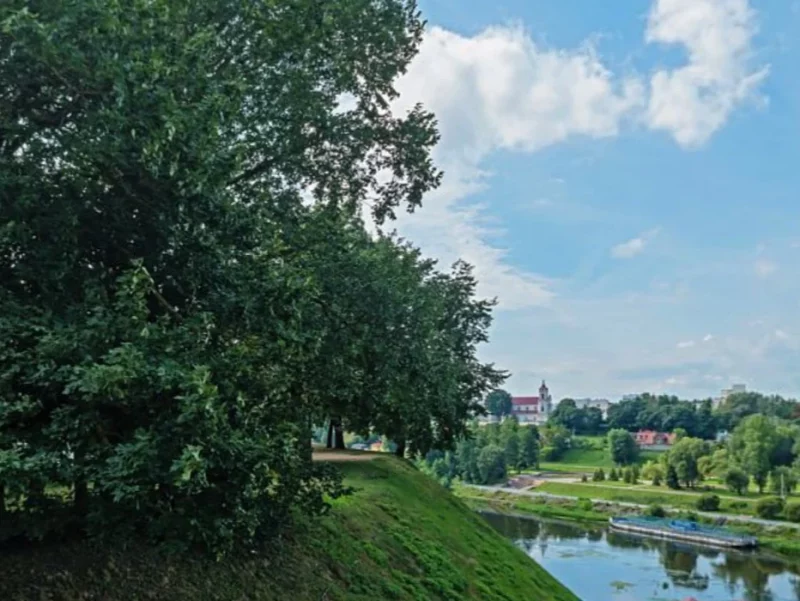 Каля Новага замка ўпарадкуюць стыхійную назіральную пляцоўку: больш не трэба будзе лазіць праз плот
