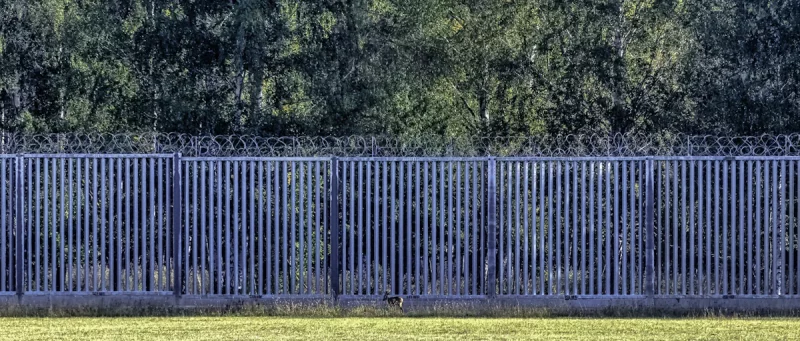 Fence on the border of Poland and Belarus. Photo: iStock  