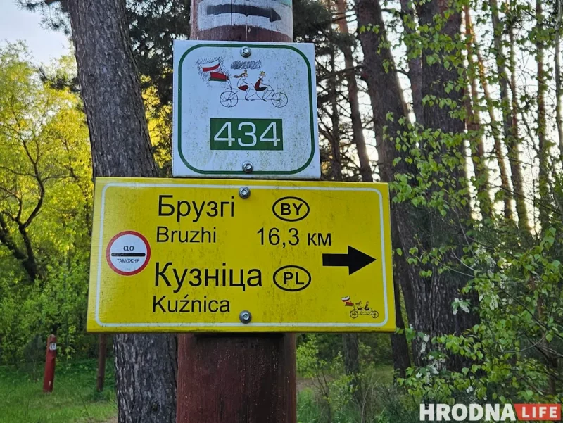 У пункце пропуску "Брузгі-Кузніца" надзвычайнае здарэнне: кіроўца знёс плот, яго затрымалі У пункце пропуску "Брузгі-Кузніца" надзвычайнае здарэнне: кіроўца знёс плот, яго затрымалі