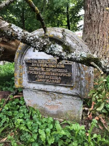 У Жэмыслаўлі перад палацам зламалася каштоўнае дрэва - помнік прыроды рэспубліканскага значэння ясень у Жэмыслаўлі