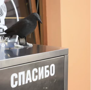 Кафэ на Савецкай пасля ўборкі. Бачная новая сметніца і адпужвальнік птушак. Фота: grodnonews.by