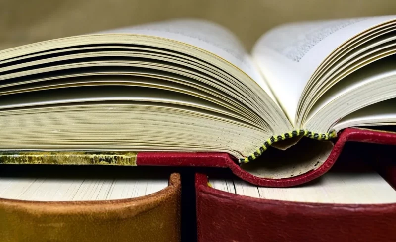 Кнігі. Фота ілюстрацыйнае: pixabay.com