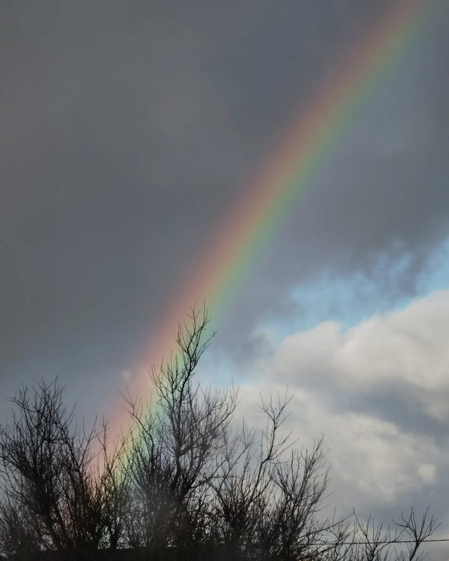 У Гродне заўважылі вясёлку — для зімы гэта рэдкая з’ява 