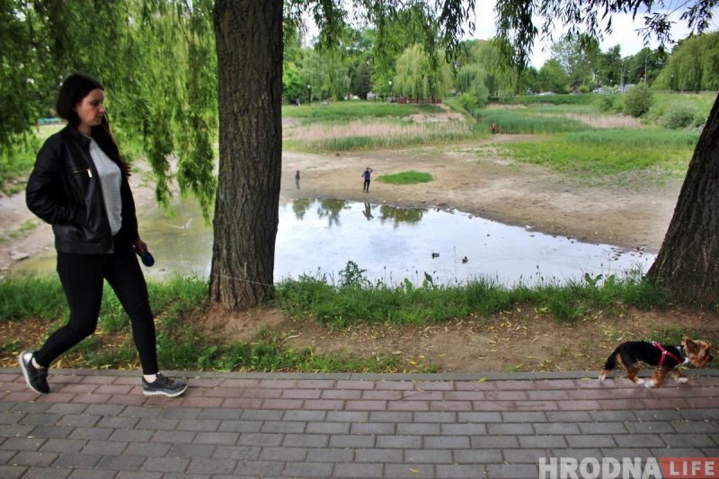 Сажалка на вул. Рэпіна ў 2021 годзе. Фота: Hrodna.life