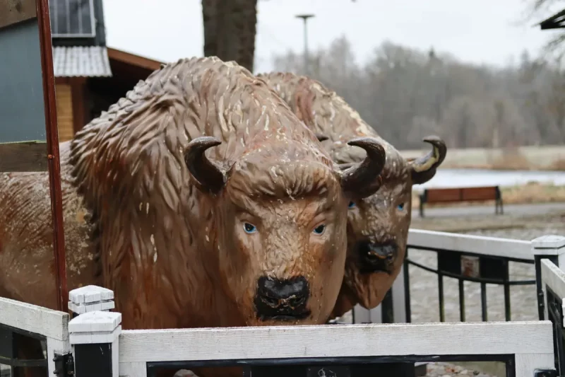 Bison figurines in Bialowieza. Photo: Hrodna. life/ MOST