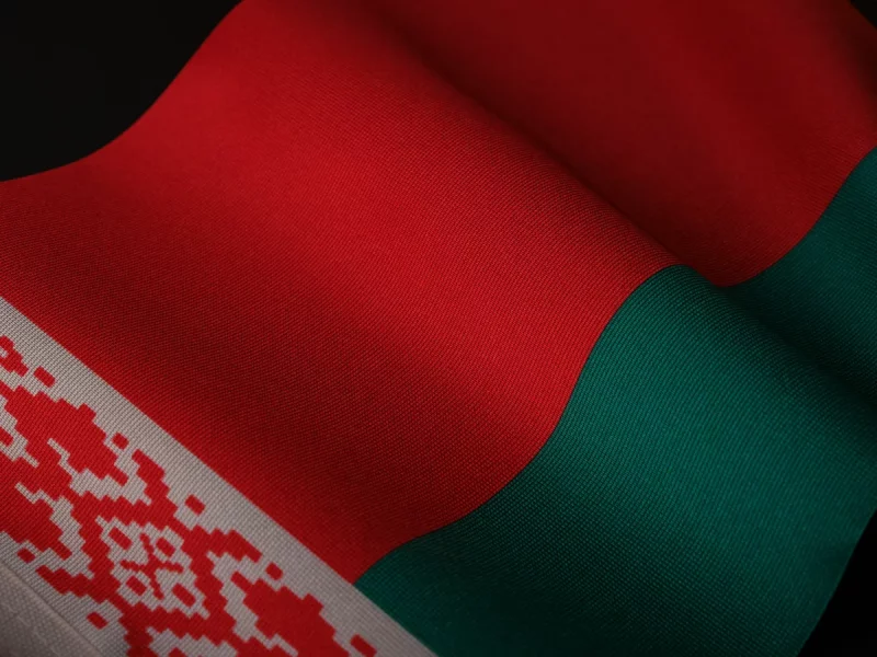 Падлетка з Ваўкавыска асудзілі за сарваны сцяг Чырвона-зялёны сцяг. Фота: unsplash.com