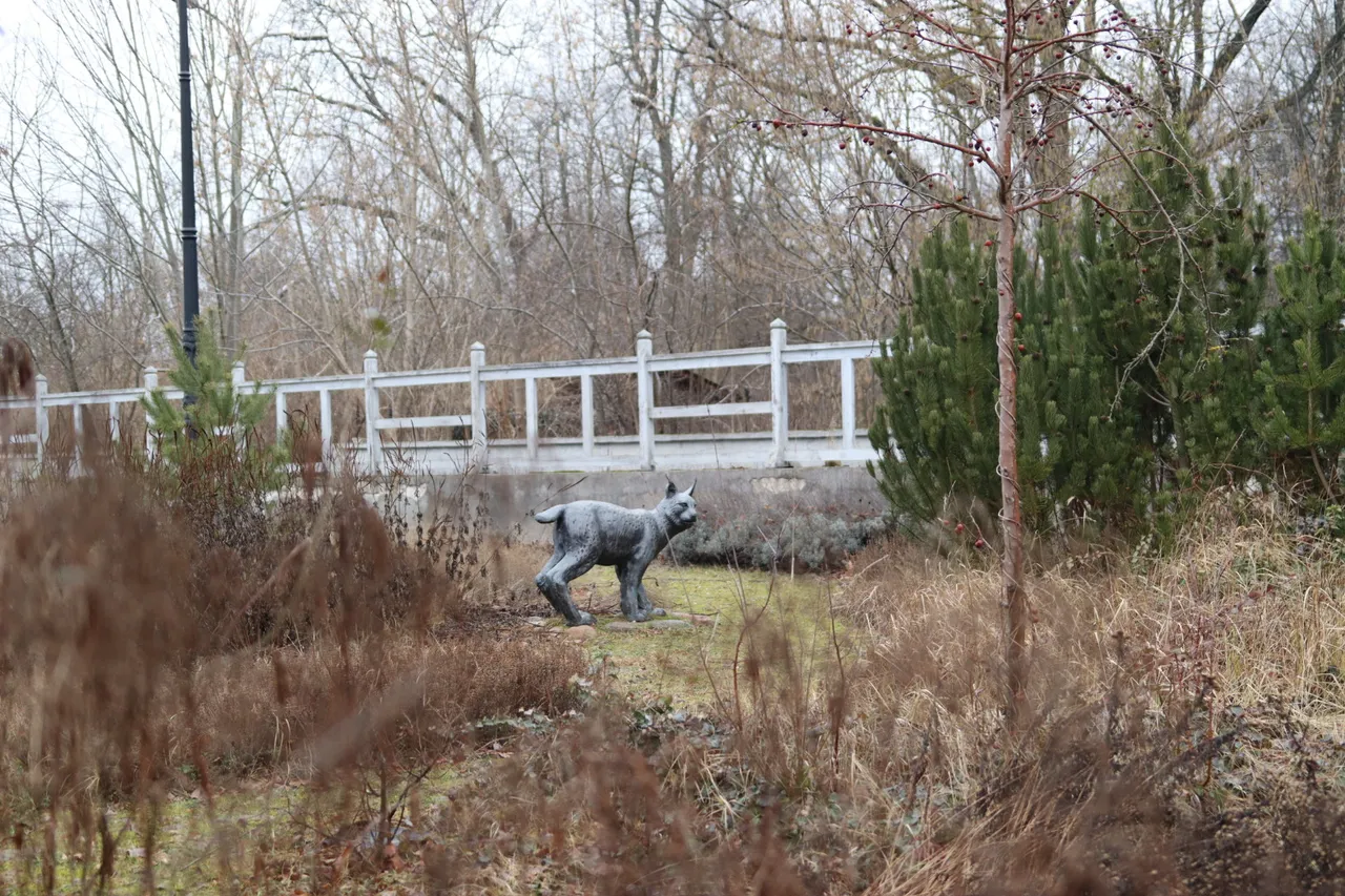 З польскага боку Белавежскай пушчы. Фота: Hrodna.life / MOST