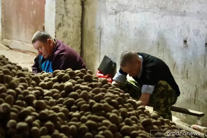 Былыя зняволеныя на працы. Фота: "Гродзенская праўда"