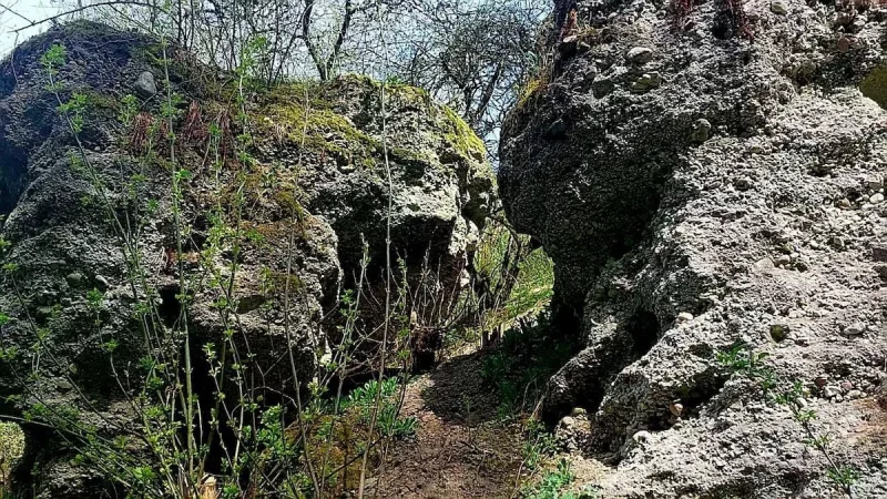 Беларускі даследавалі "Калодзежны роў" у Гродне — помнік, пра які ведаюць не ўсе