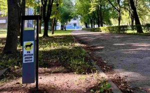 У Гродне ўстанавілі кантэйнеры для ўборкі за сабакамі на выгуле