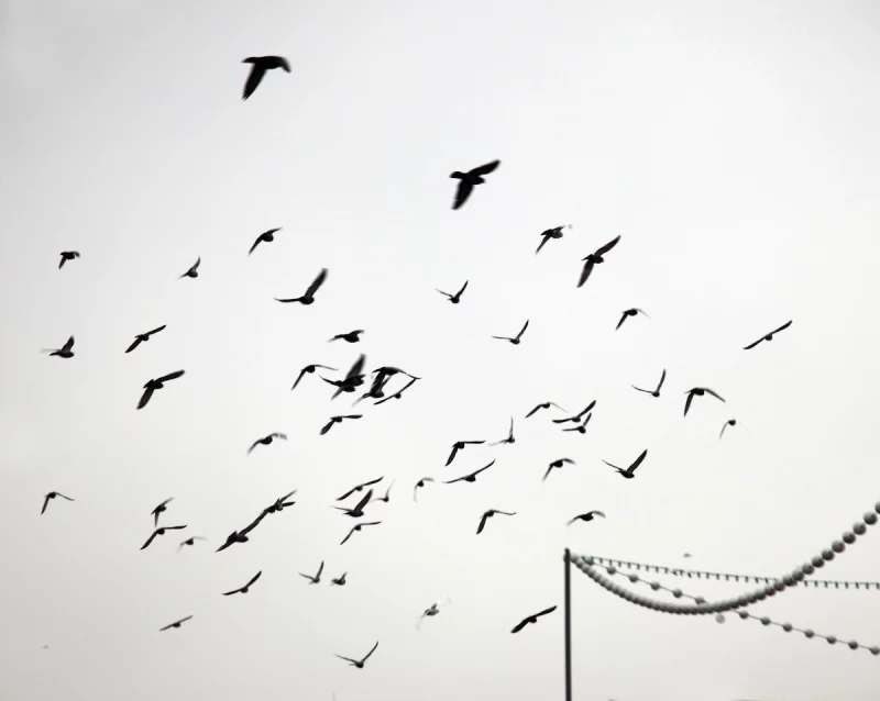 Наталия Дорош: «Пани фотографка – только так себя и ощущаю»