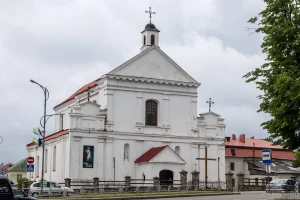 У Навагрудскім касцёле усталявалі «скрыначку супраць вільгаці». Акадэмія навук пацвердзіла антынавуковасць прылады