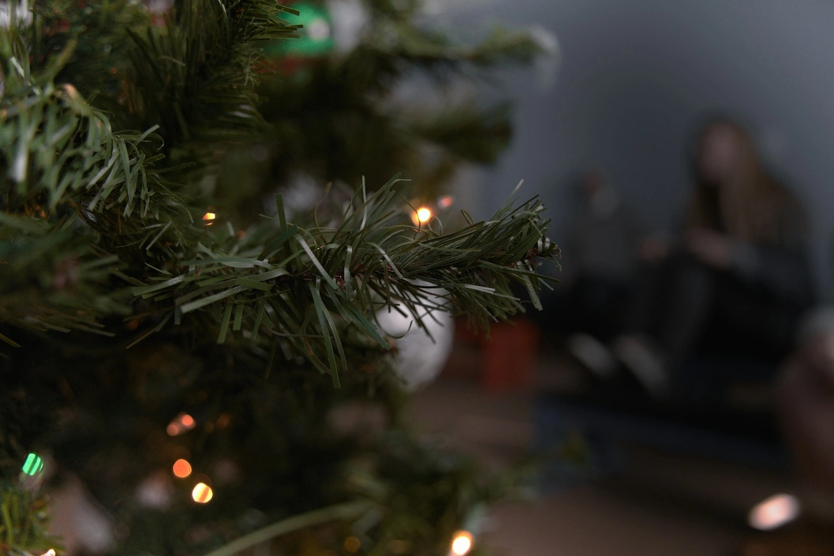 Ель; елка; новый год.