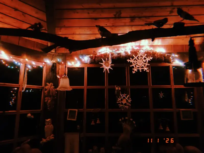 Беларускія каляды ў Польшчы. Фота: герояў