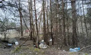 Жыхары Альшанкі знайшлі ў парку «сатанінскія» атрыбуты. Што сказалі ў міліцыі?