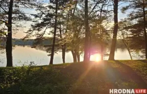 Гродзенская фірма забруджвала лес – у судзе яна спрабавала схітраваць з спробамі Гродзенская фірма забруджвала лес – у судзе яна спрабавала схітраваць з спробамі