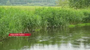 Забруджаная рака Дзітва. Фота: СТВ